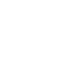 Modul Mastertone Dante-Netzwerk für Verstärker Kirche